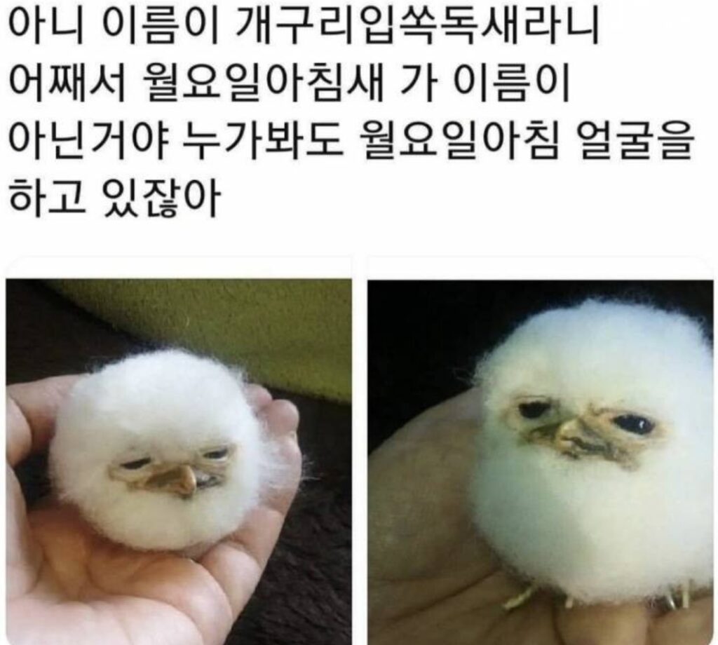 카톡 아침 인사 문구 추천 (긍적적인 말)