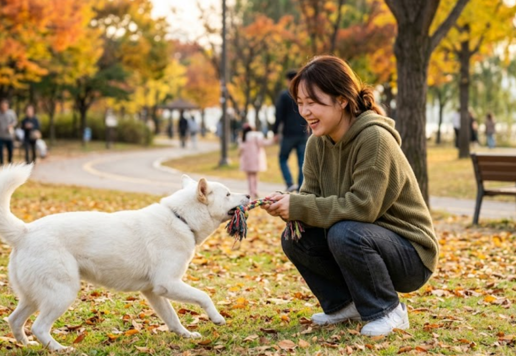 진돗개 호구 분양 가격 시세와 입양 전 필수 확인 가이드